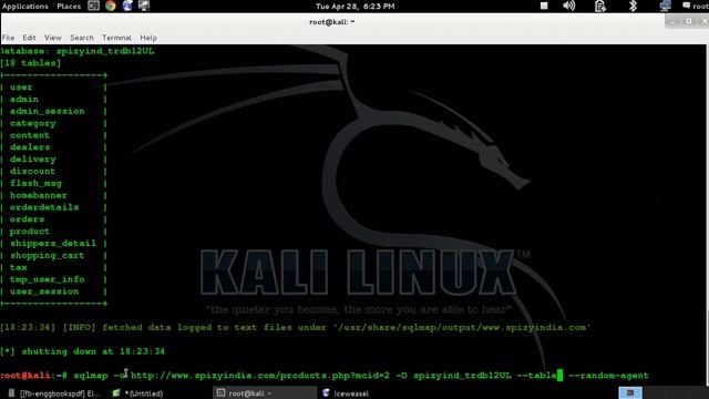 website hacking using sqlmap смотреть онлайн