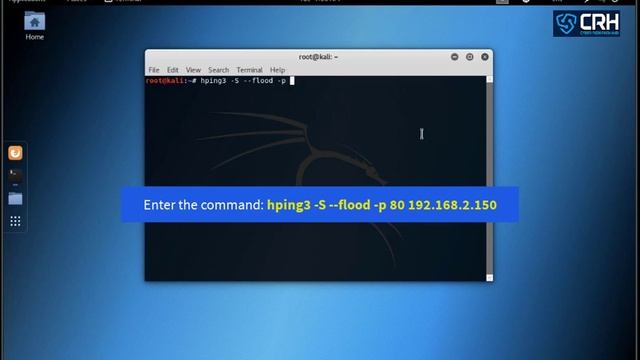 Denial of Service (DoS) Attacks, Real demo of DoS Attacks on Severs by Using Kali Linux (Part-3) смотреть онлайн