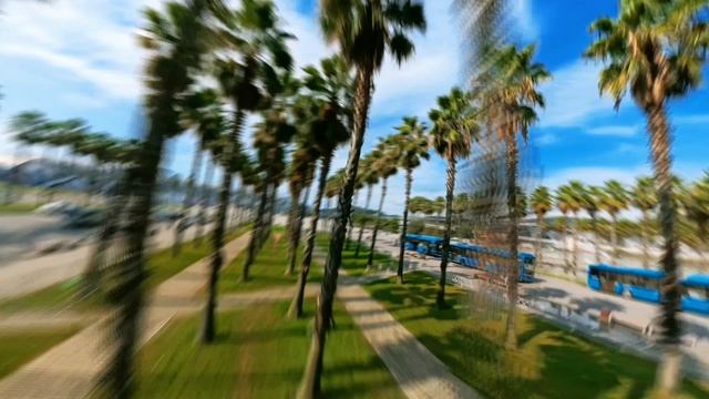 Олимпийский парк Сочи. Имеретинская набережная 


#адлер
#сириус
#сочи
#insta360x4
#видеограф