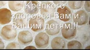 трутнёвый гомогенат, химический состав