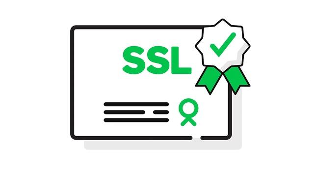 What is an SSL certificate? | GoDaddy IN смотреть онлайн