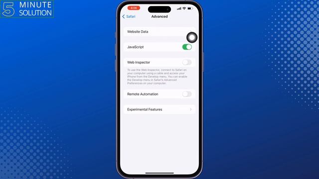 How To Delete Search History in safari on iPhone 2024 | Clear Safari Browsing History смотреть онлайн