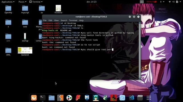 how i can execute hacking's script ?? shell kali linux смотреть онлайн