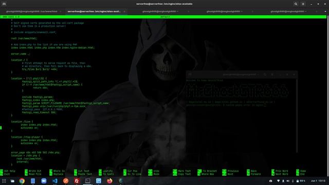 Create Custom Error Page Nginx - GNU/Linux Server смотреть онлайн