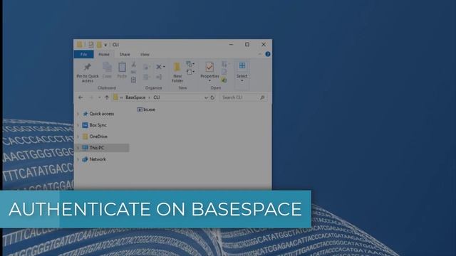 Getting Started - BaseSpace™ Command Line Interface (CLI) смотреть онлайн