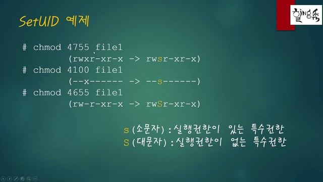 리눅스 기초 - 파일속성변경3 (SetUID, SetGID, Sticky bit) смотреть онлайн