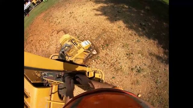 Removing a Bradford Pear Tree and the Stump смотреть онлайн