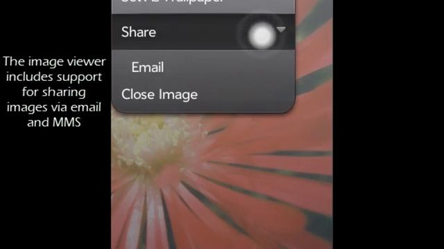 Internalz Pro Tipz #12: Image Viewer смотреть онлайн