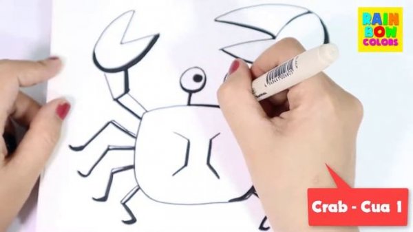 [Lili Rainbow Colors] Crab coloring and drawing| Learn colors