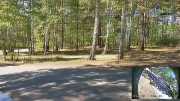 Летаем в лесу, Эпичное падение.