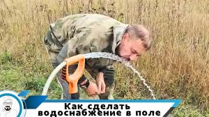 Абиссиним в полях // водоснабжение для участка