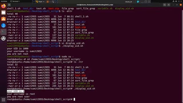 If Statement in Shell Script | Shell Script to find user is root or not смотреть онлайн