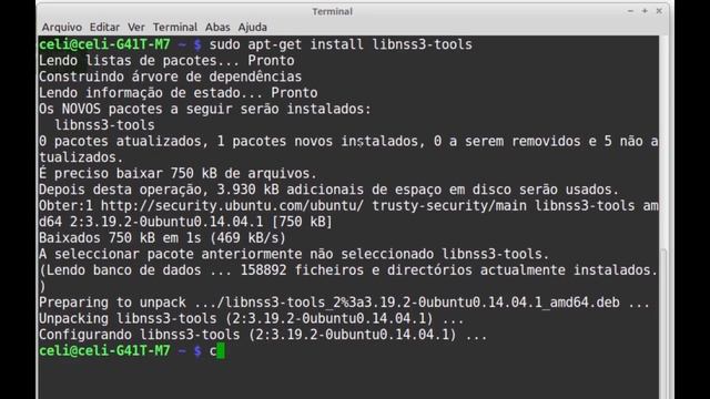 Instalação do Warsaw, Guardiáo Itaú, no Ubuntu ou Linux Mint смотреть онлайн