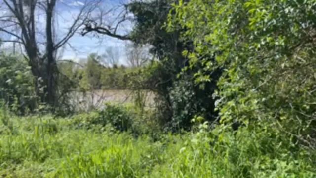 В рабочий полдень 🌸 Что творится в мире ? смотреть онлайн