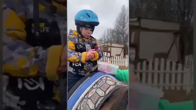 СказкоИппотерапия - из зоопарка слон пропал! смотреть онлайн