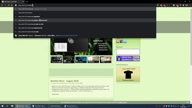 Instalação do Linux Mint em uma partição junto com Windows смотреть онлайн