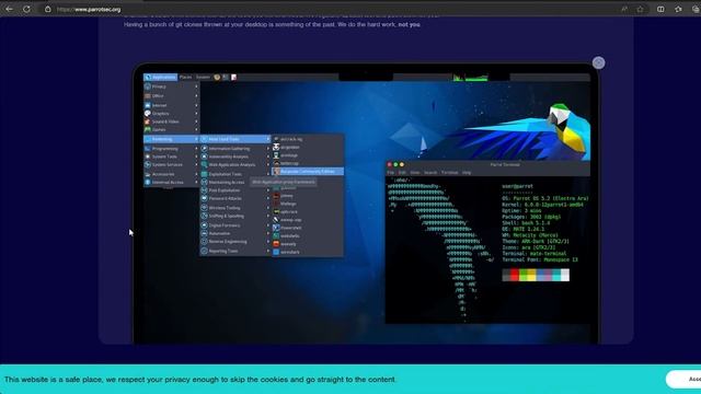 Best Operating System for Ethical Hacking & Cyber Security 2024 in Hindi смотреть онлайн