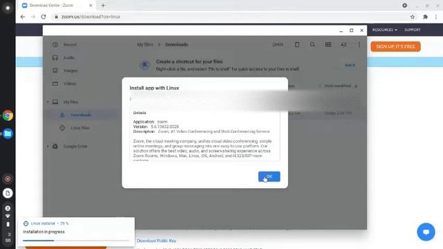 How To Install Zoom With Linux (beta) On Chromebook 2021 смотреть онлайн