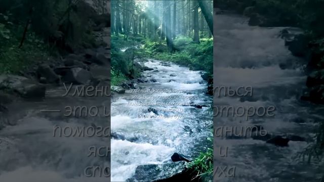 ASMR шум воды смотреть онлайн