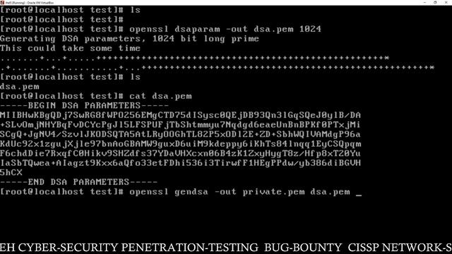 How To Generate DSA Public And Private Key Pair With OpenSSL
