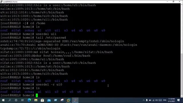 How to Delete User & Group in Linux | Managing User & Group in Linux in Bangla | RHCSA | RHEL 8 смотреть онлайн