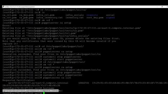 Puppet Agent Configuration [Puppet Series Part 2 ] - Cloud and Tech Tutorials смотреть онлайн