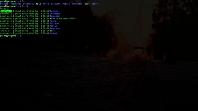 1) ls komutu kullanımı - Listeleme | Linux Terminal Komutları смотреть онлайн