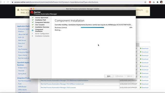 Business Process Management Using Red Hat PAM/JBPM - RHPAM Installation смотреть онлайн