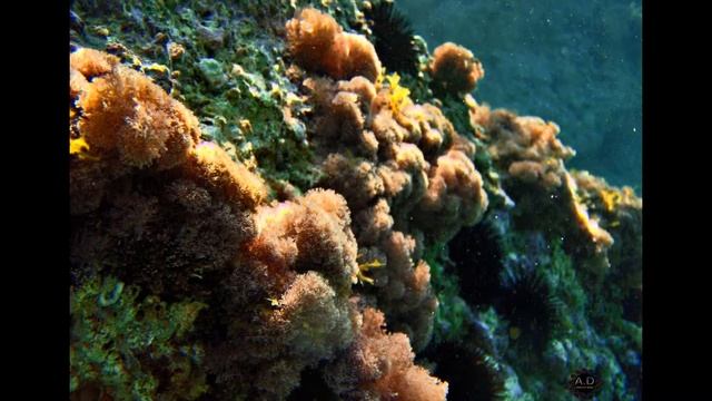 Enorasis Project - Mediterranean Deep Blue смотреть онлайн