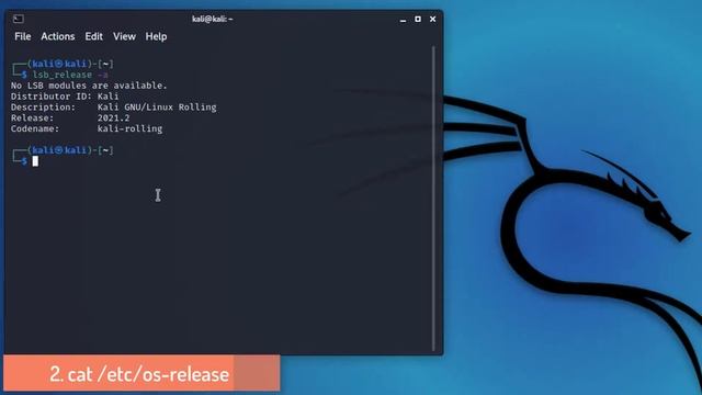 How to check Kali Linux version | Kali Linux 2021 Tutorial смотреть онлайн