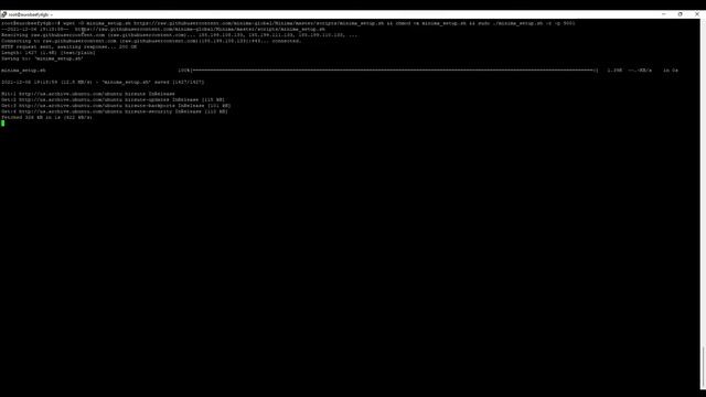 Set up the Minima Protocol on Linux cloud server смотреть онлайн