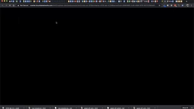 Installing vEOS-lab on ESXI смотреть онлайн