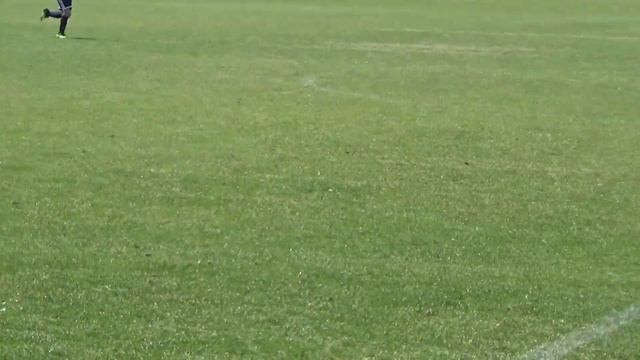 larry save kingston defense смотреть онлайн