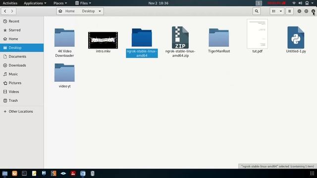 Installa Ngrok Tool in Kali Linux смотреть онлайн