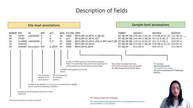 Understanding File Formats in Bioinformatics: VCF and gVCF смотреть онлайн