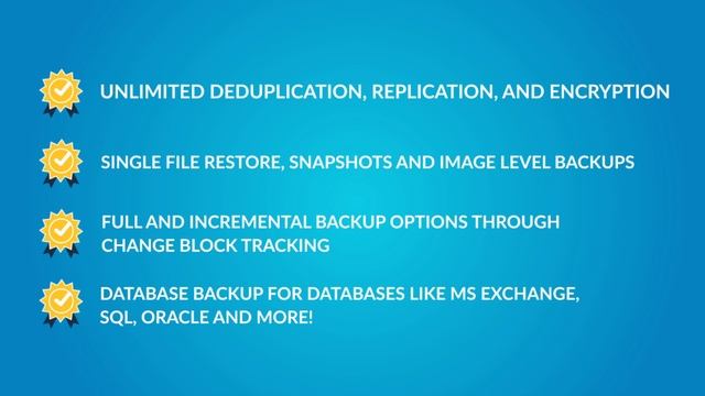 SEP VM Essentials Backup Software смотреть онлайн