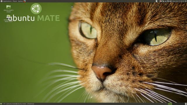 Ubuntu Mate 16.10 Best Beginner Linux смотреть онлайн
