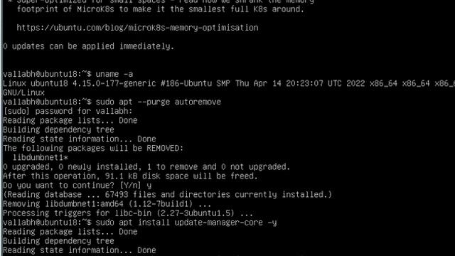 How to Upgrade Ubuntu 18.04 LTS to Ubuntu 20.04 LTS смотреть онлайн