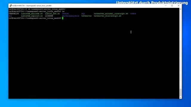 Teamspeak3-Server auf Linux-Server installieren | (Deutsch) смотреть онлайн