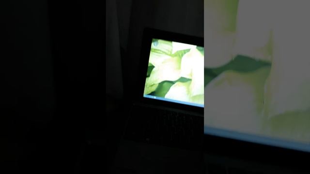 instalei bodhi linux no positivo zx3020. ficou bom. смотреть онлайн