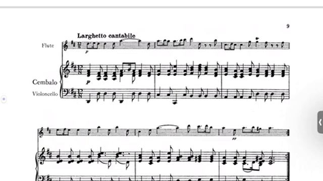 VIVALDI: CONCIERTO PARA FLAUTA OP 10 Nº3, “IL GARDELLINO” смотреть онлайн