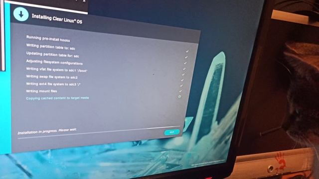 Cat vs Clear Linux смотреть онлайн