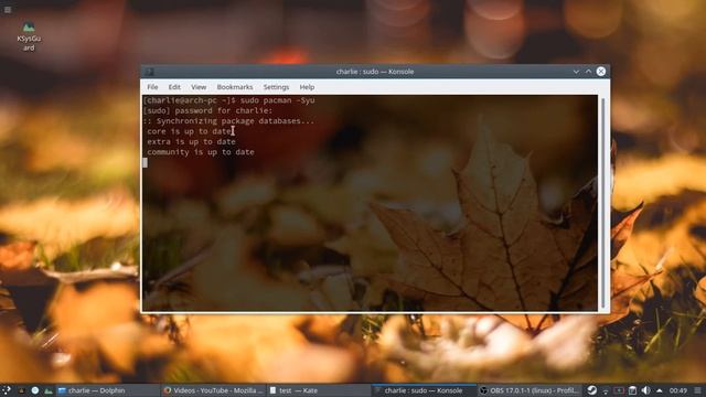 How to Update / Upgrade Arch Linux - 2017 | Shubham Shukla смотреть онлайн
