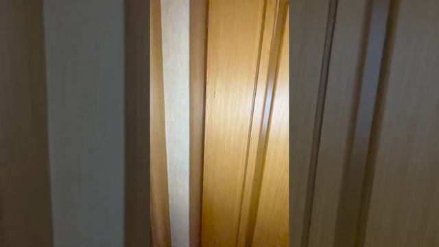 Уютная трёхкомнатная квартира р-н Оптика смотреть онлайн