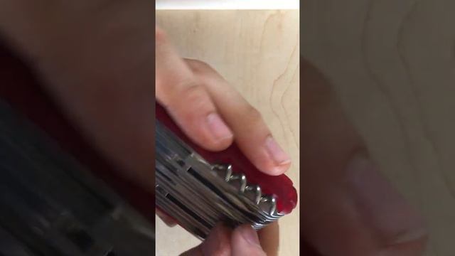 Before You Buy-Victorinox Swisschamp XAVT Review