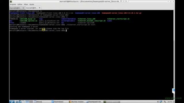 Como configurar servidor de TS3 no Linux/Ubuntu смотреть онлайн