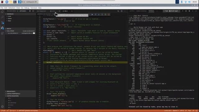 Build, Flash AND Debug PineTime Firmware with Raspberry Pi and VSCode смотреть онлайн