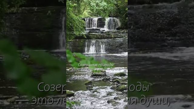 Звуки природы перед сном помогают снять стресс смотреть онлайн