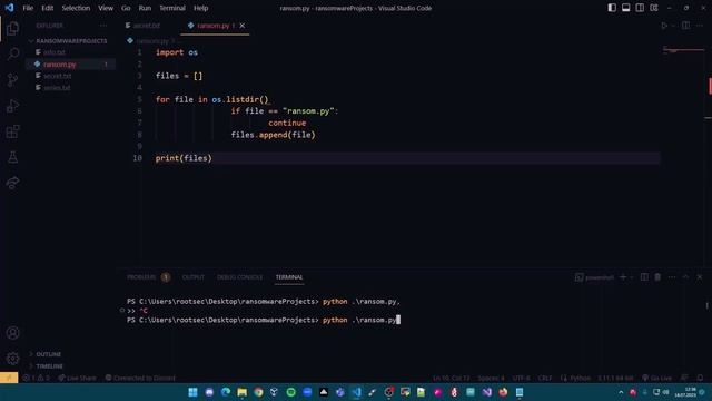 Ransomware - Fidye Virüsü смотреть онлайн