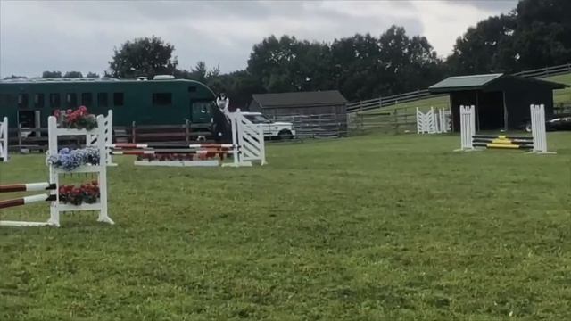 Scarlet Apple Horse Trials // LBM Eventing смотреть онлайн
